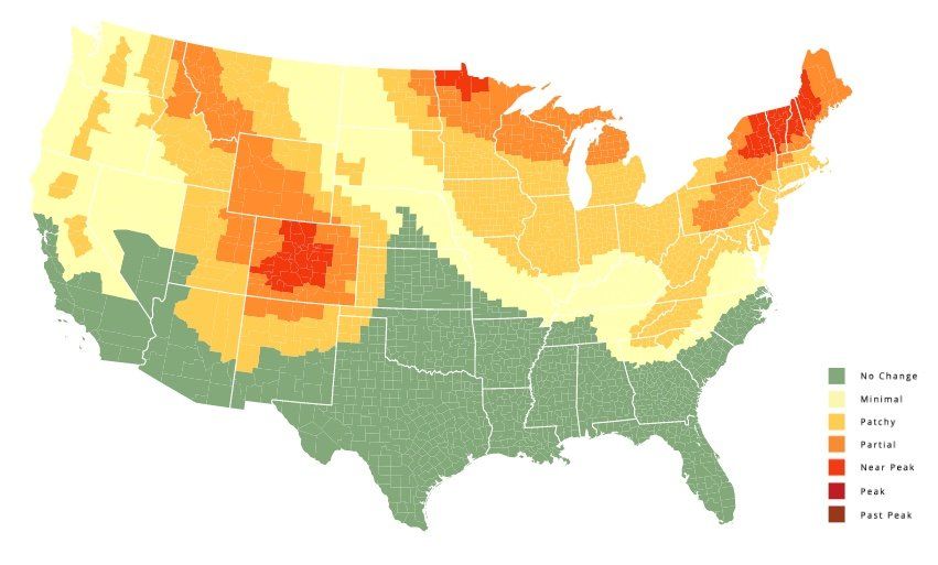 When Is New England's Peak Fall Foliage 2022? See Maps, Forecast – NBC  Boston